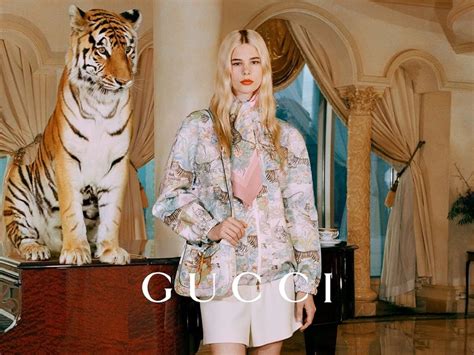 does gucci kill animals|Gucci skin reptile removal.